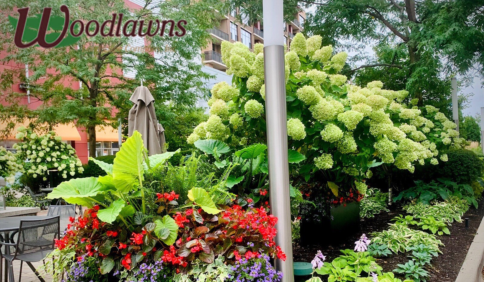 Woodlawns Landscape