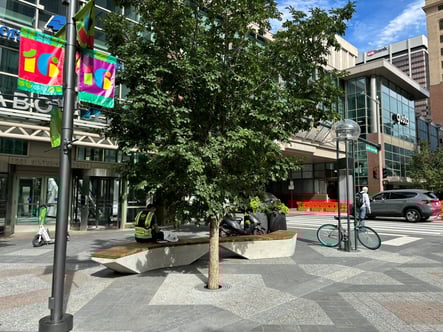 16th St Mall AI Generative