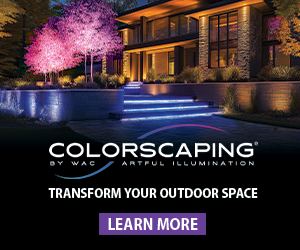 2025 Q3 SYNKD Colorscpaing DIGITAL Ad (1)