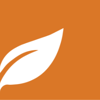 SYNKD Leaf_Orange