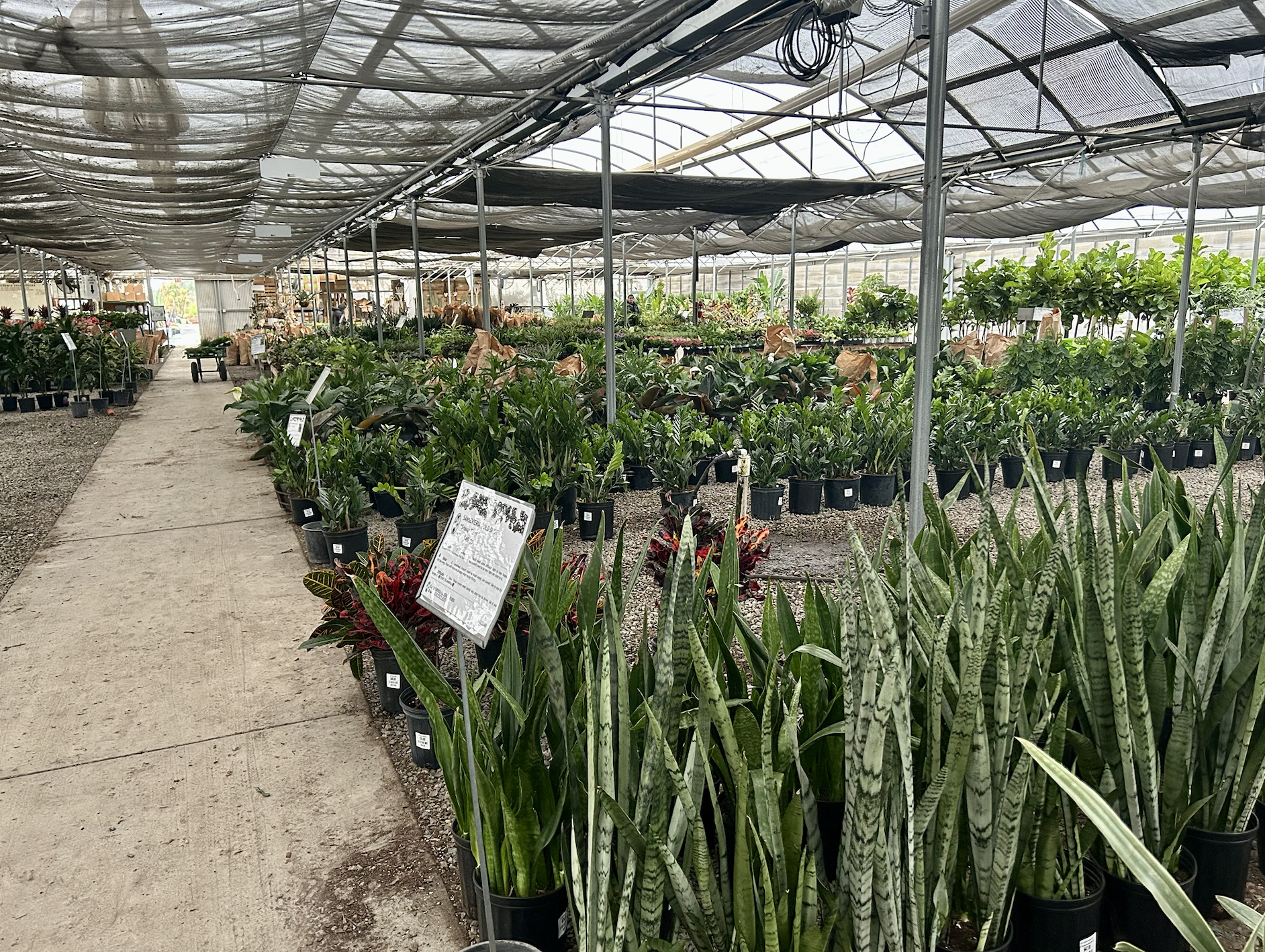 California Greenhouses (6)