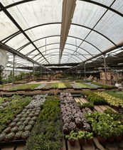 California Greenhouses (9)