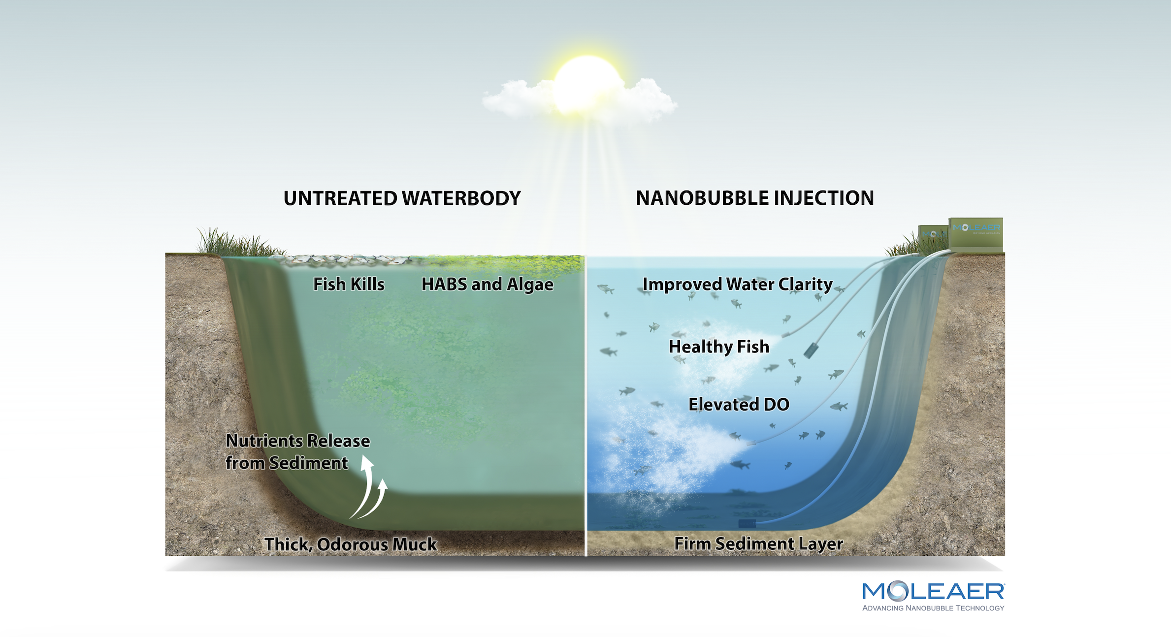 How nanobubbles help restore lakes and ponds through enhancing natural lake processes.