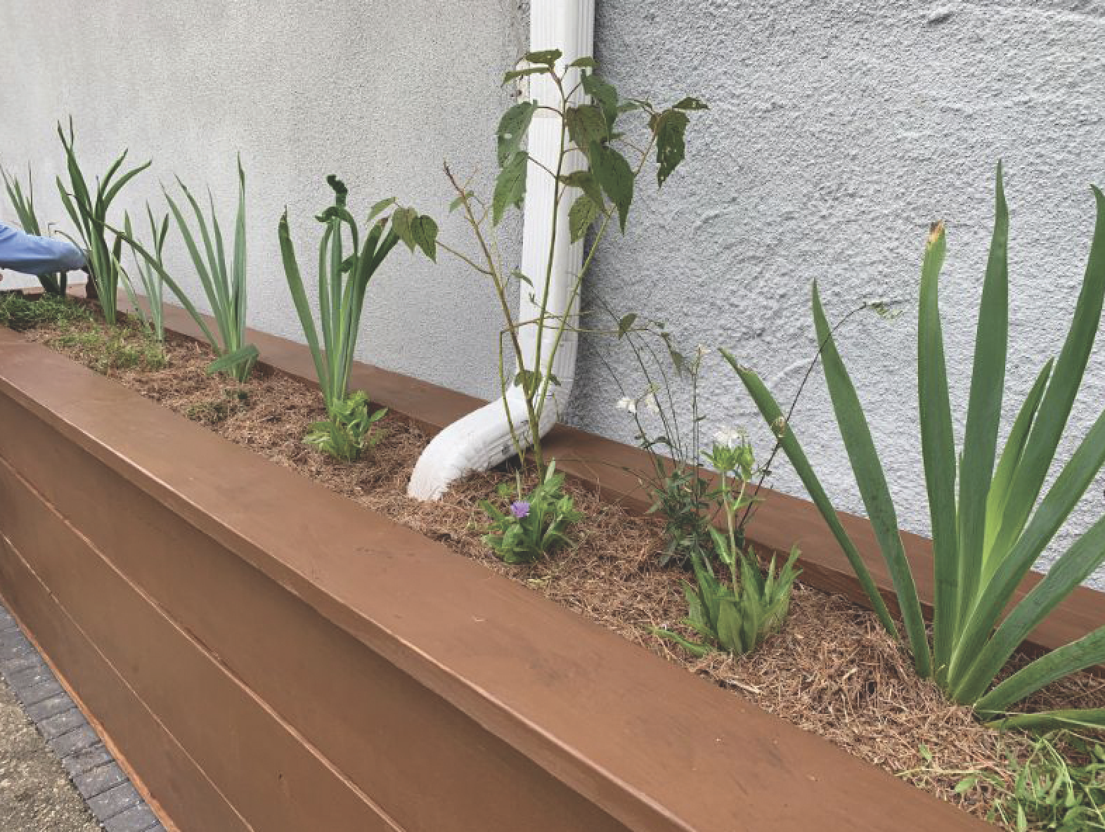 Rain Gutter Planting Bed