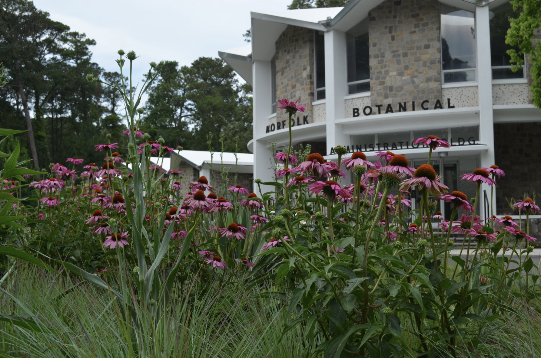 Norfolk Botanical Garden