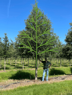 John Conroy standing next to tree