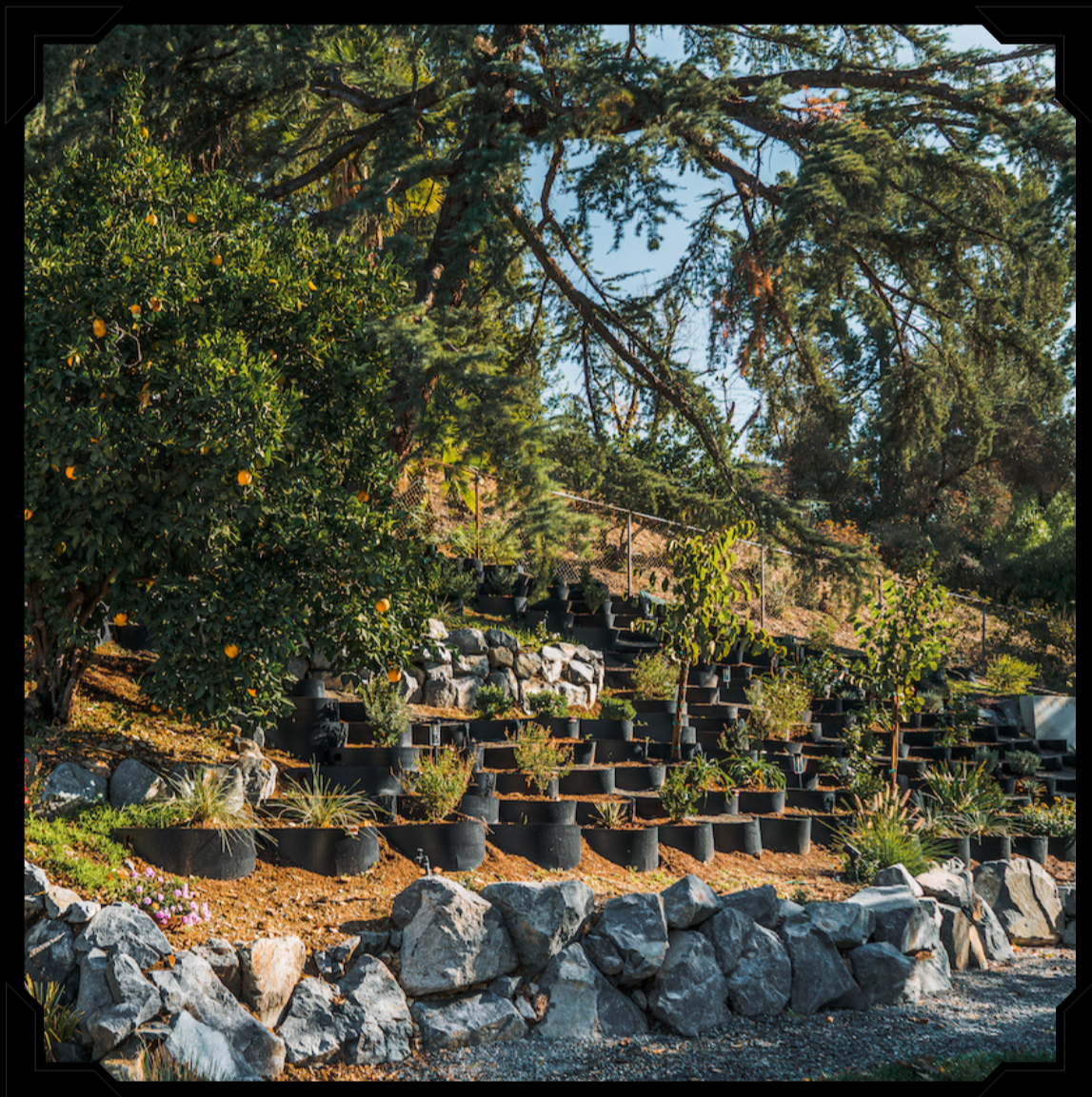 hillside solution