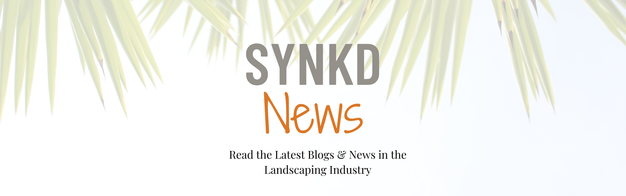 SYNKD News SYNKD News