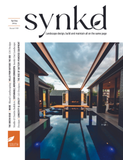 Read SYNKD South Spring 2024 The Green Issue