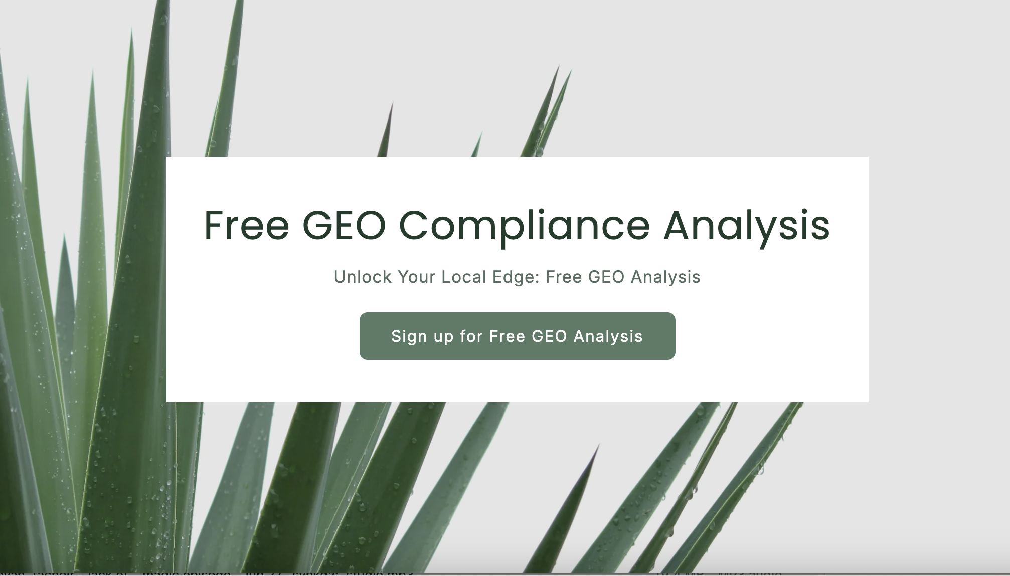 Generative Engine Optimization (GEO) Analysis