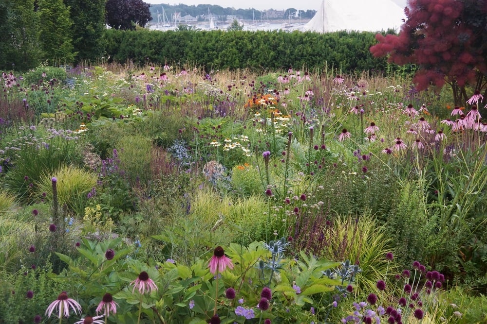 How Plants—and People—Shape Extraordinary Gardens
