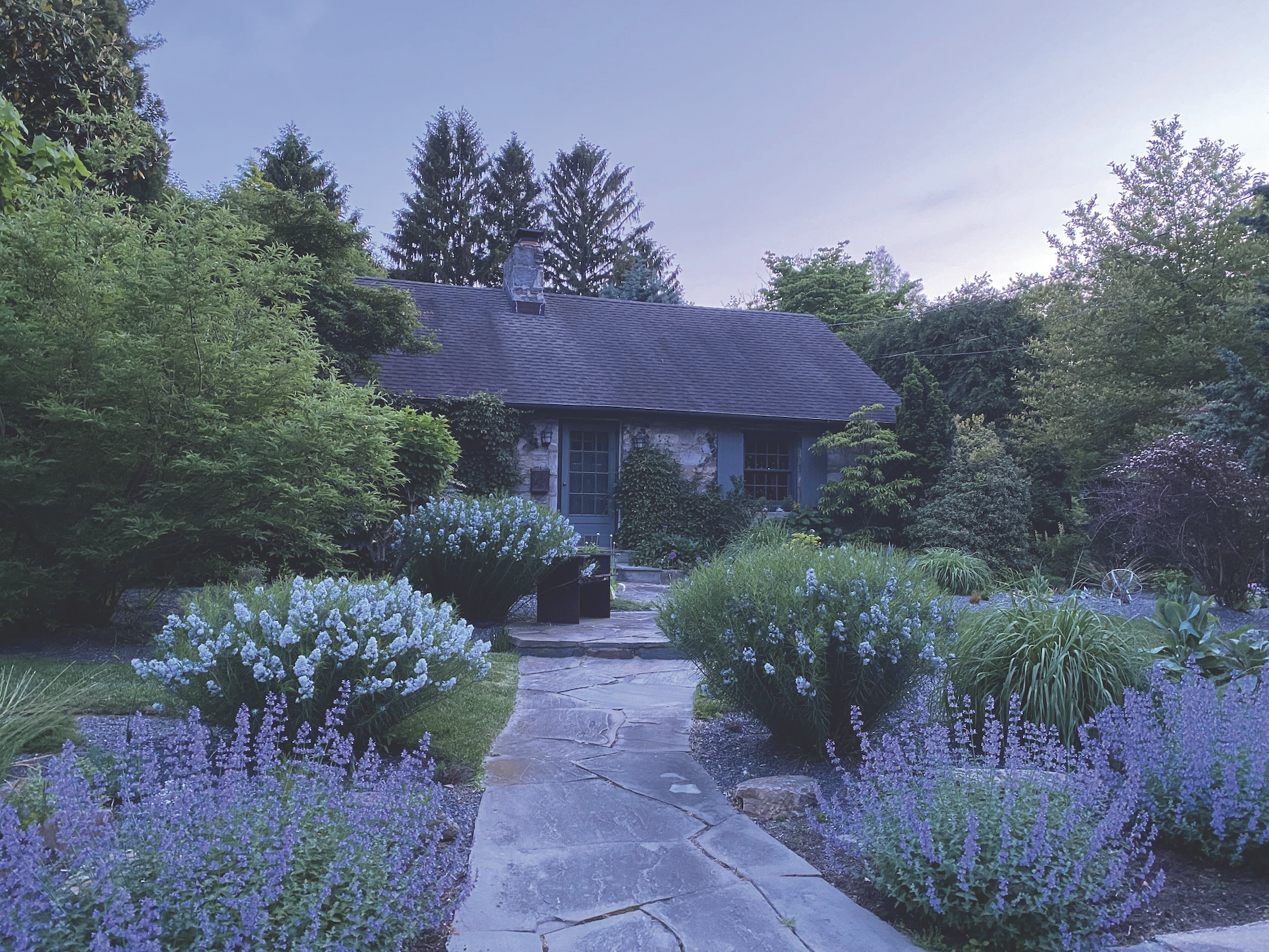 2023 Garden Trends Report