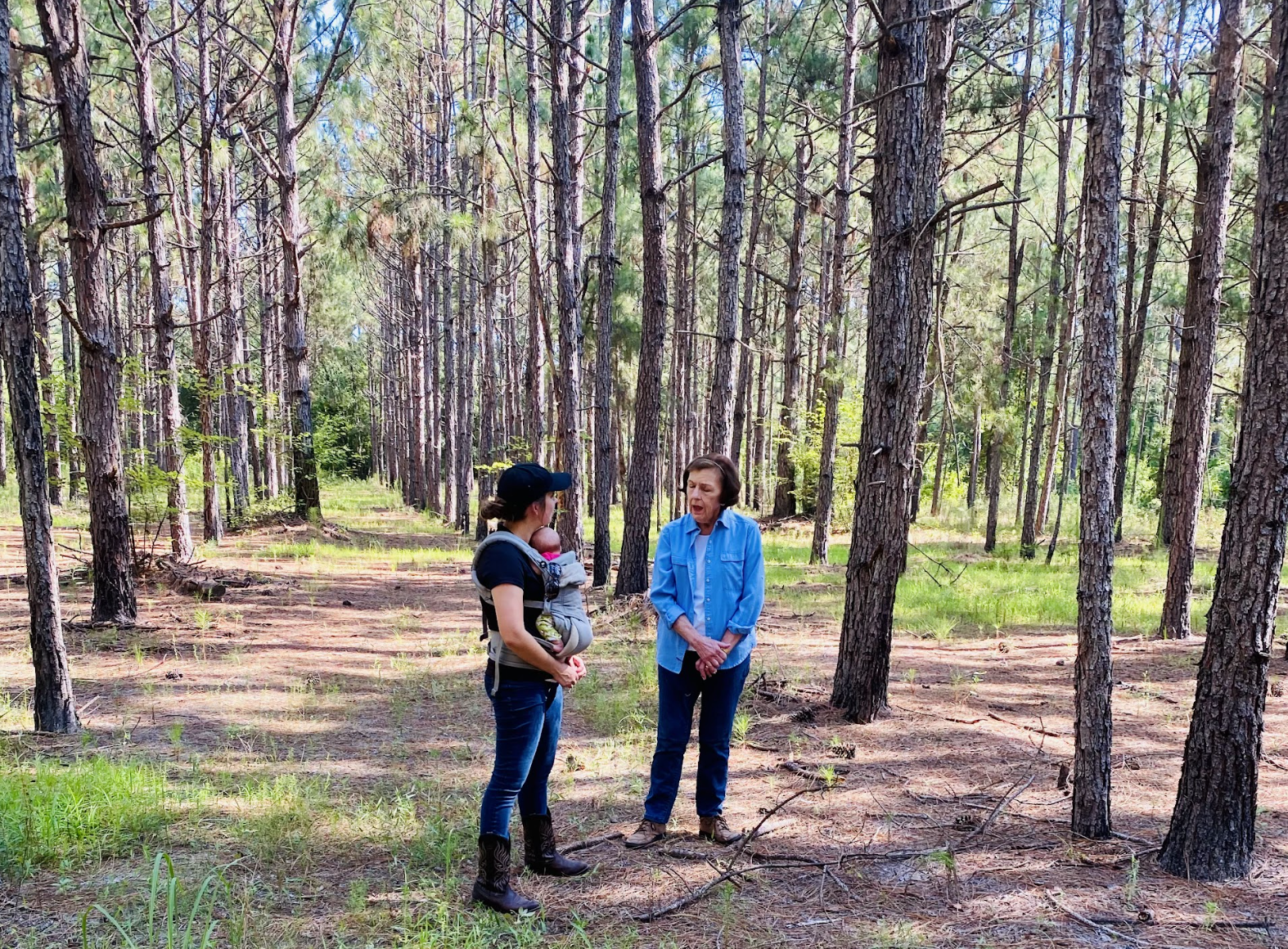 Company Profile: Land and Ladies