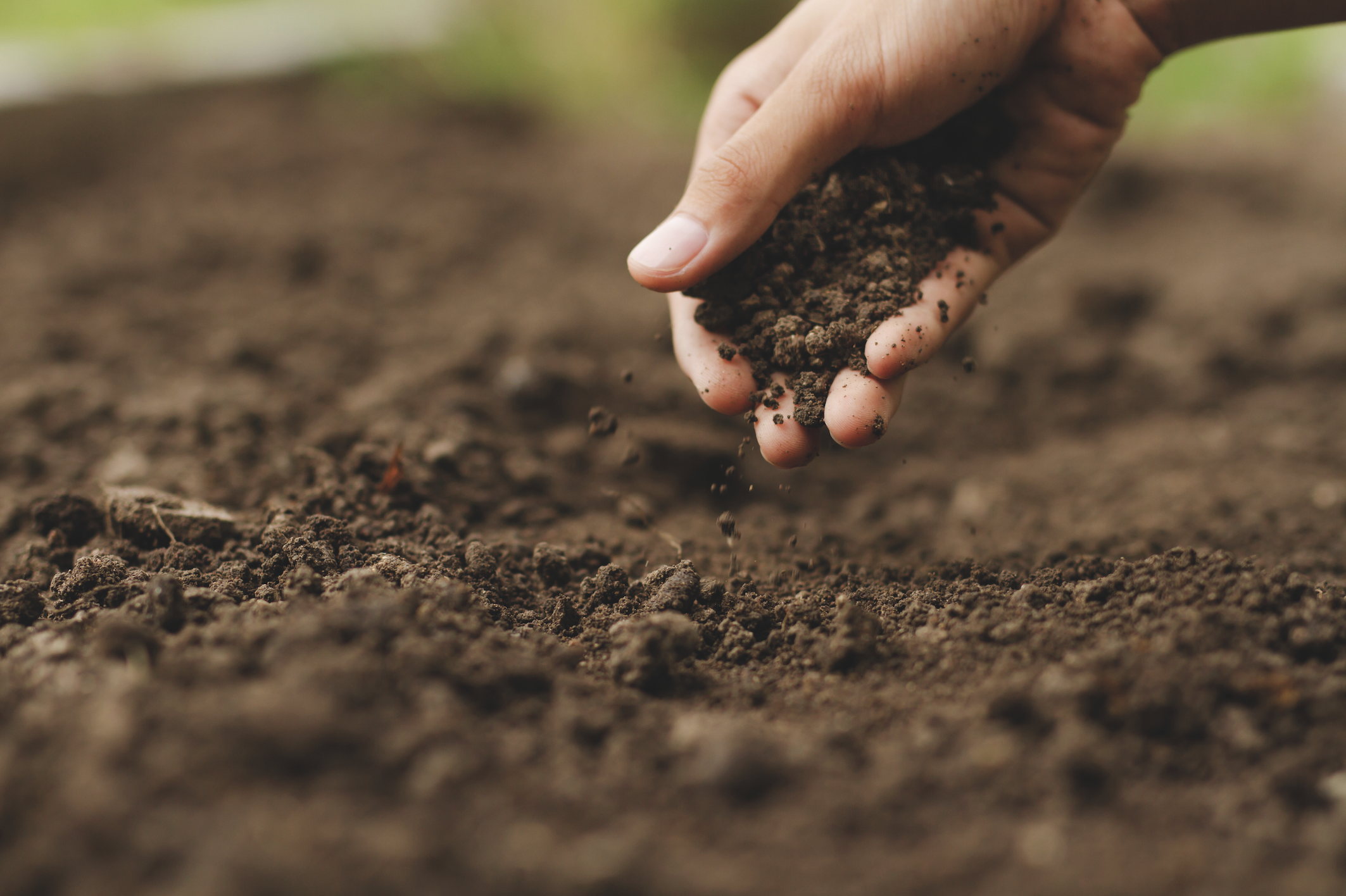 Simple Steps to Soil Remediation