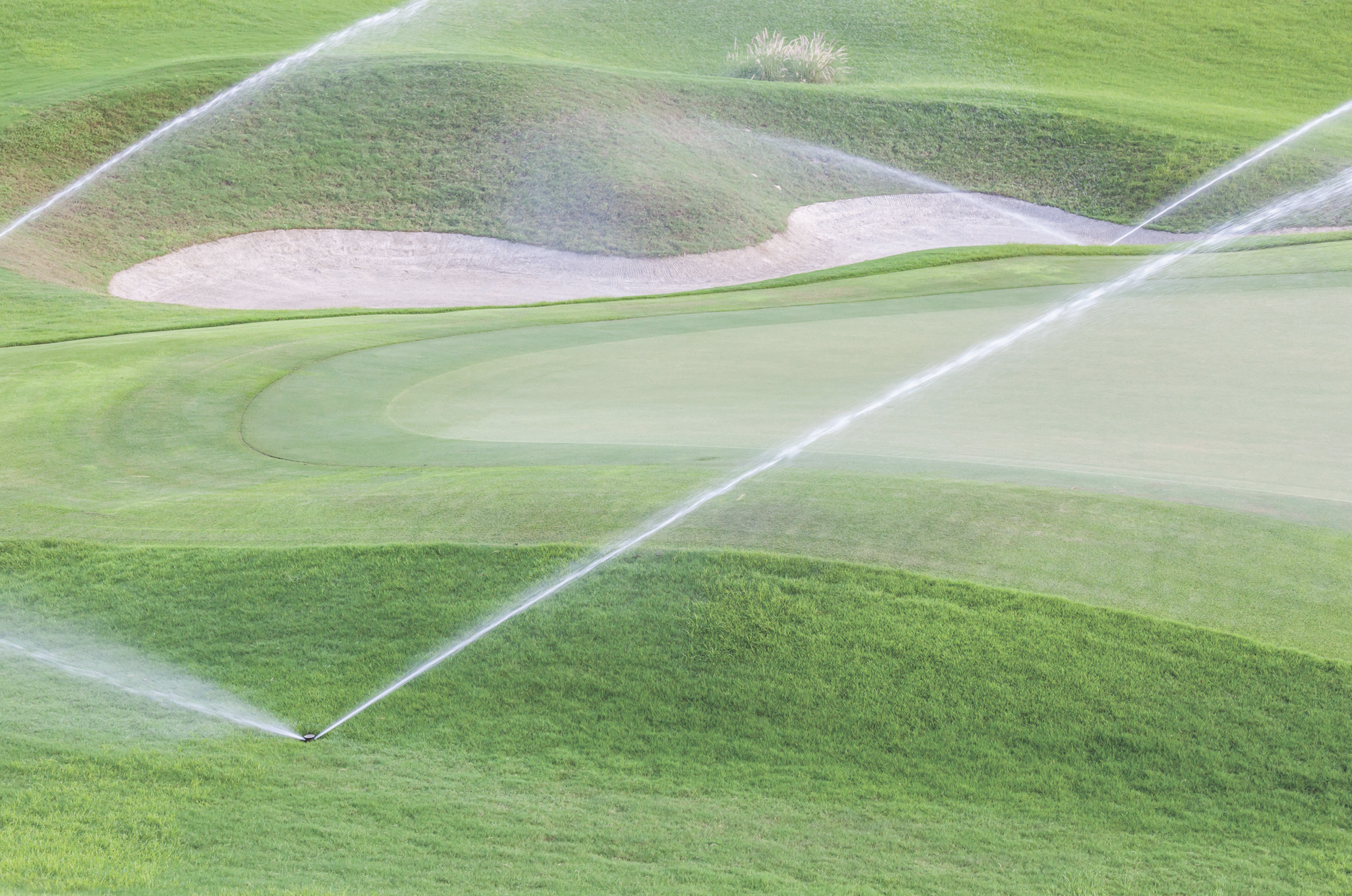 Irrigation Irritation