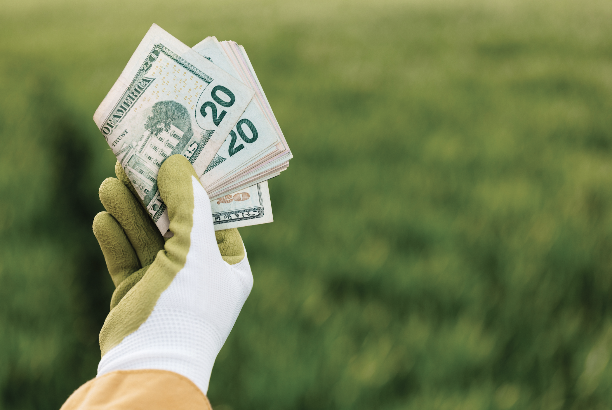 Show Me the Money