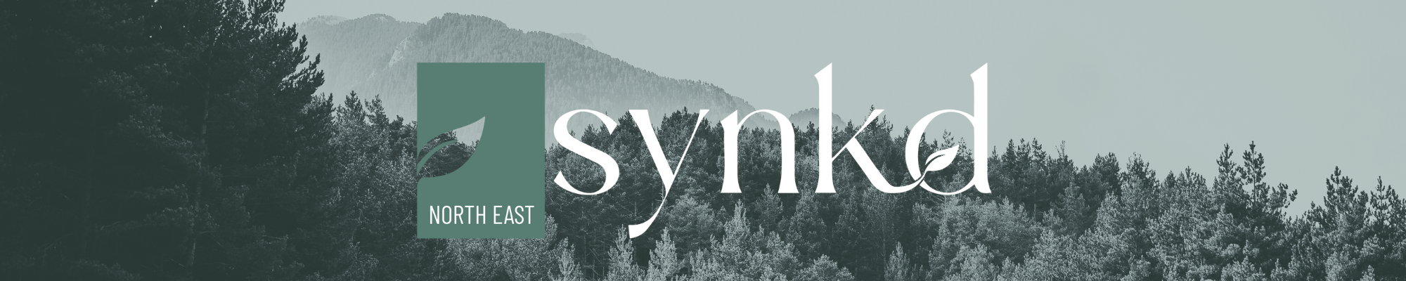 SYNKD is connecting the northeast landscaping industry through its quarterly publications