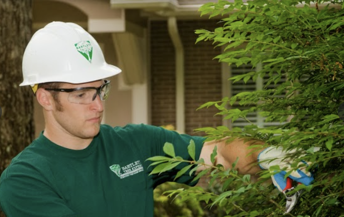 Bartlett Tree Experts